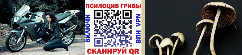 Галлюциногенные грибы ЛСД  Энгельс 